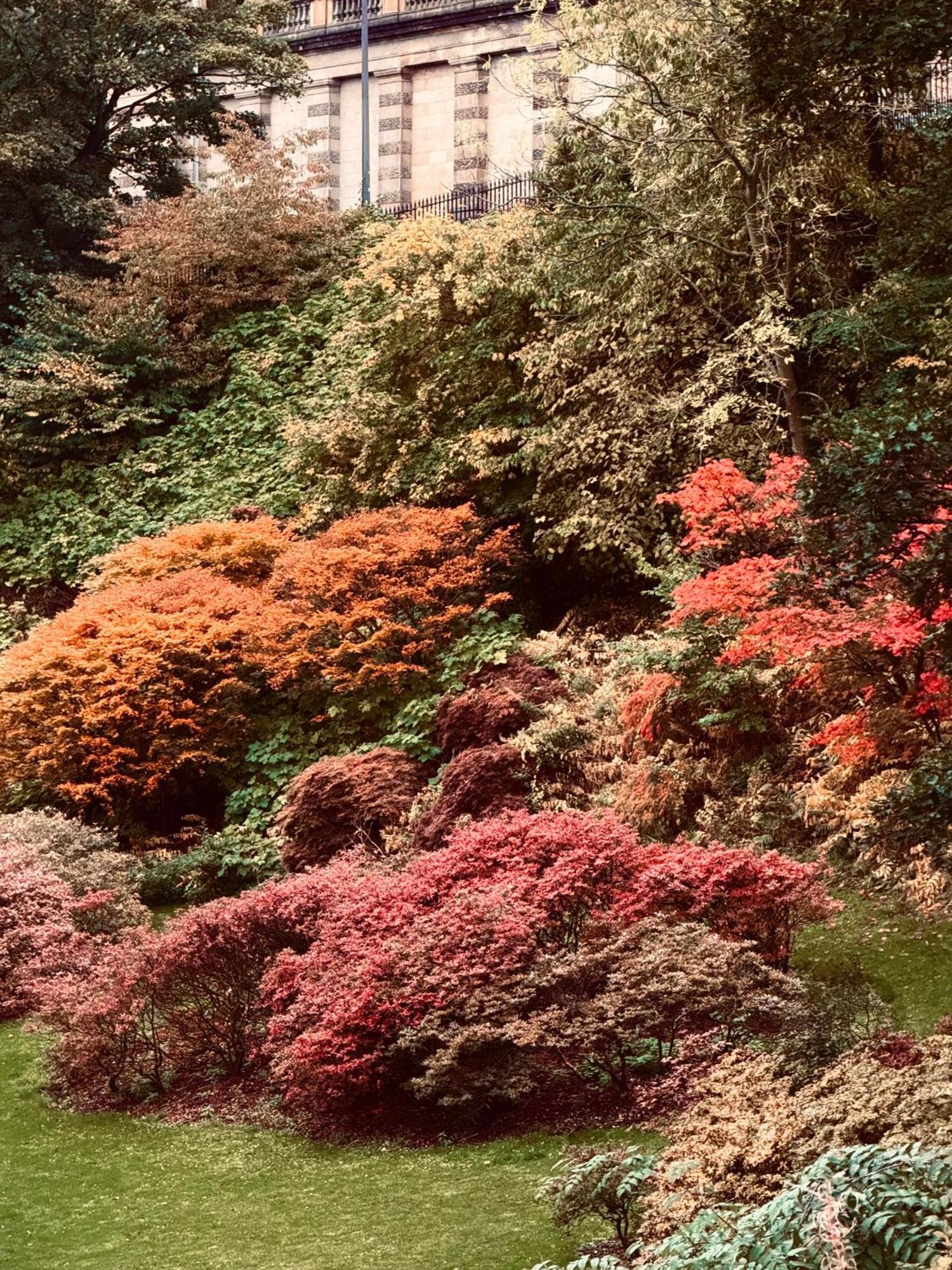 Prehnite Suite Edimburgo Esterno foto